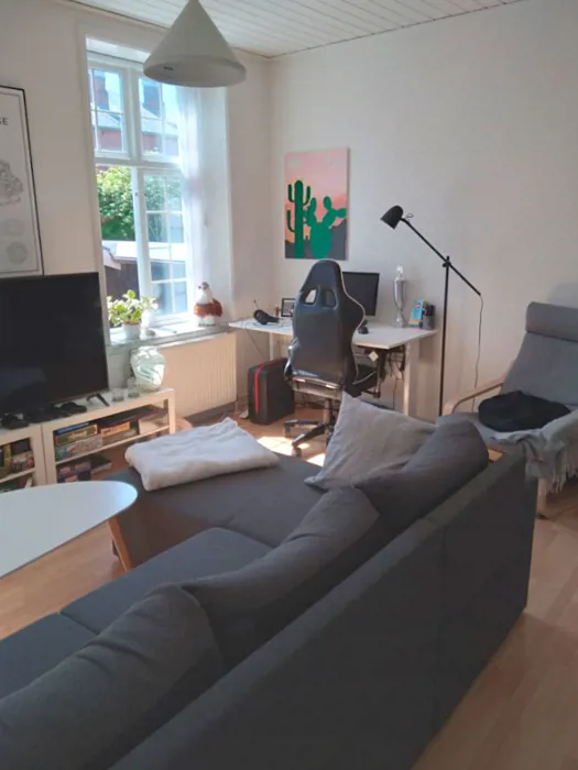 Fin 2-værelses lejlighed i Hjørring med husdyr tilladt 6