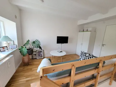 Dejlig 3-værelses lejlighed i to plan i hjertet af Aalborg 1