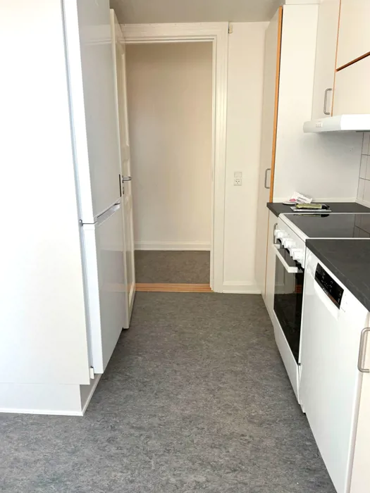 Rummelig og lys lejlighed i Nørresundby 3
