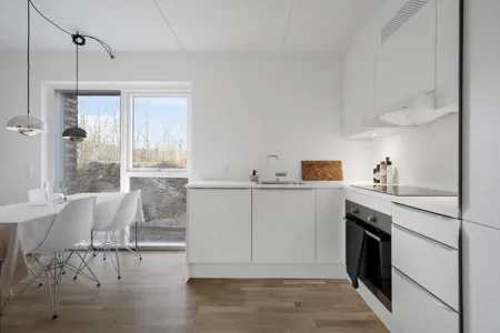 Nyopført 1-værelses lejlighed i Skejbyen 1