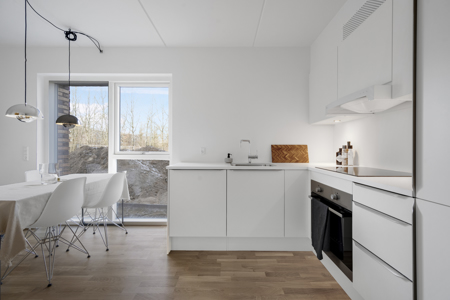 Moderne 1-værelses lejlighed i Skejbyen 1