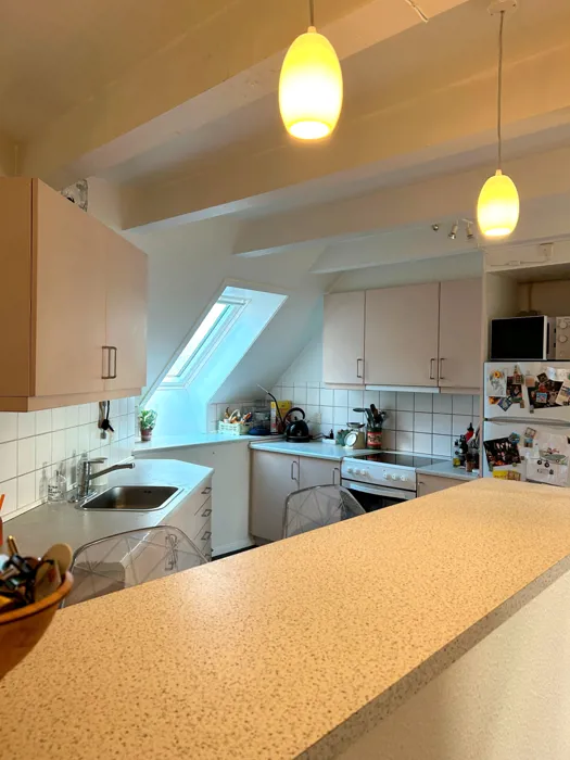 Lys 3-værelses lejlighed midt i Aalborg 5