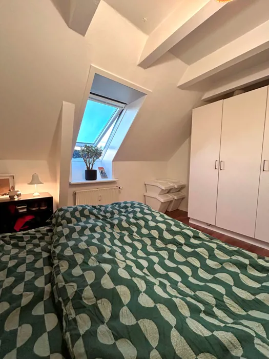 Lys 3-værelses lejlighed midt i Aalborg 9