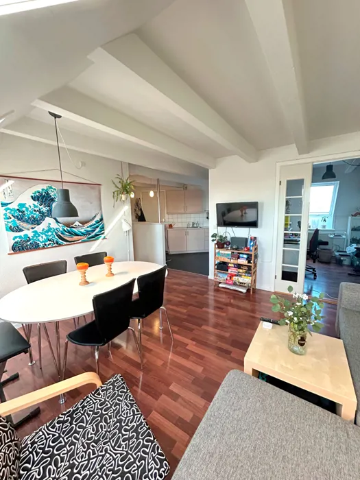 Lys 3-værelses lejlighed midt i Aalborg 3