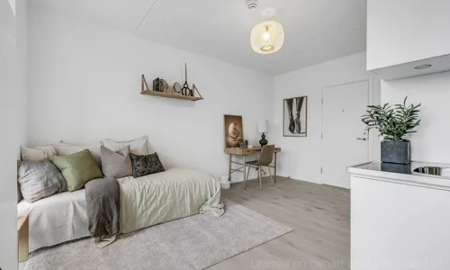 1-room apartment – Poppelstykket 1
