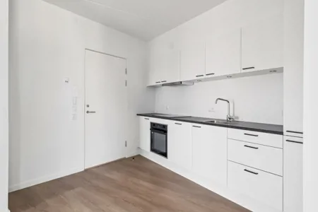 Nyopført 1-værelses lejlighed på Ankomstpladsen 1