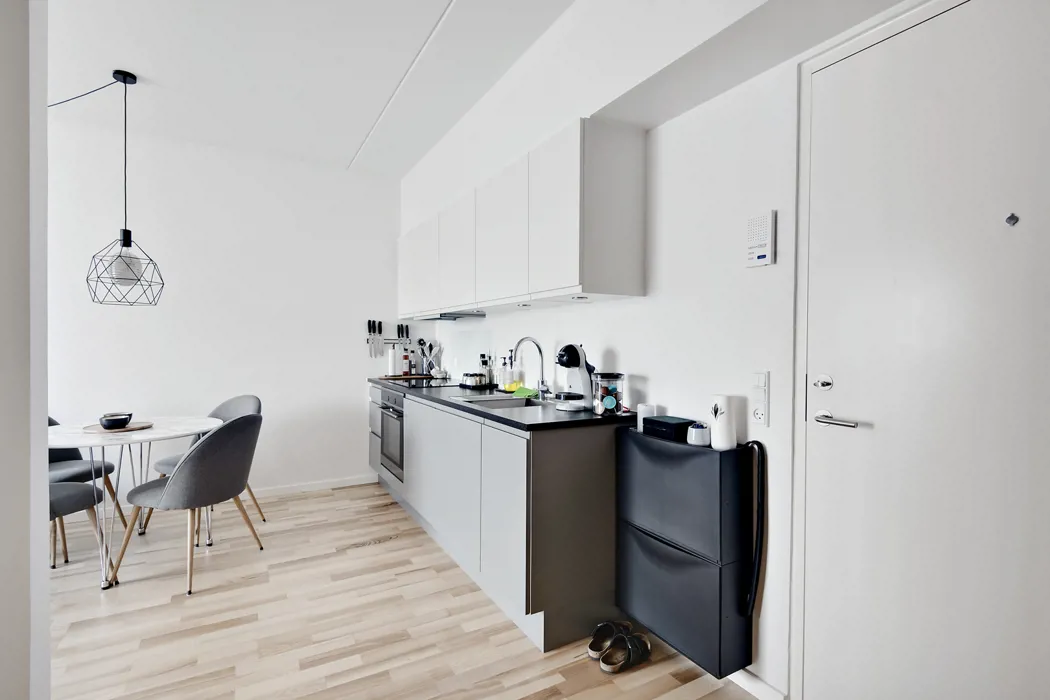 Dejlig 2-værelses lejlighed i Zebra House 4