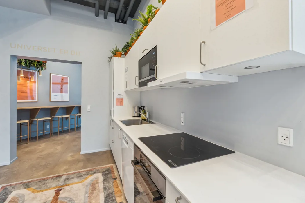 Nyopført 2-værelses lejlighed på Østre Havn i Aalborg 19