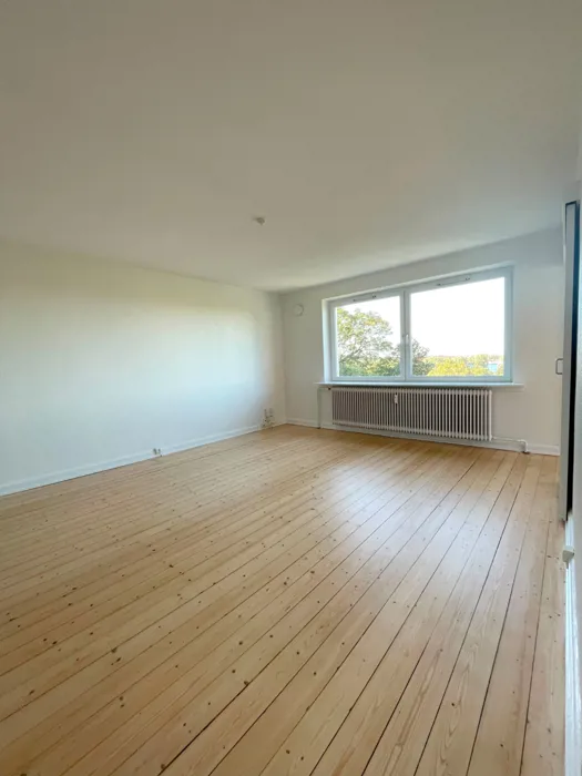 Rummelig og lys lejlighed i Nørresundby 4