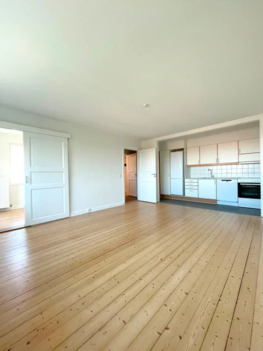 Rummelig og lys lejlighed i Nørresundby 1