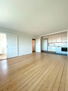 Rummelig og lys lejlighed i Nørresundby 1