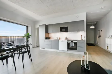 Nyopført 2-værelses lejlighed på Østre Havn i Aalborg 1