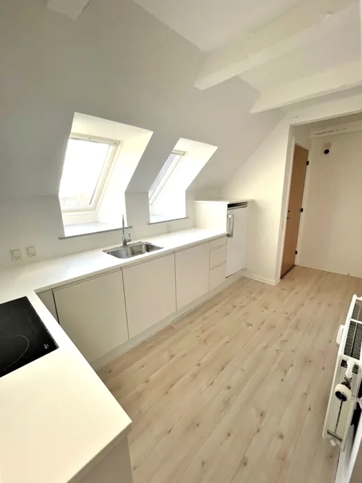 2-værelses lejlighed med masser af lys 3