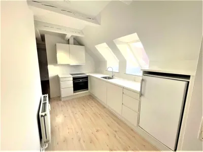 2-værelses lejlighed med masser af lys 1