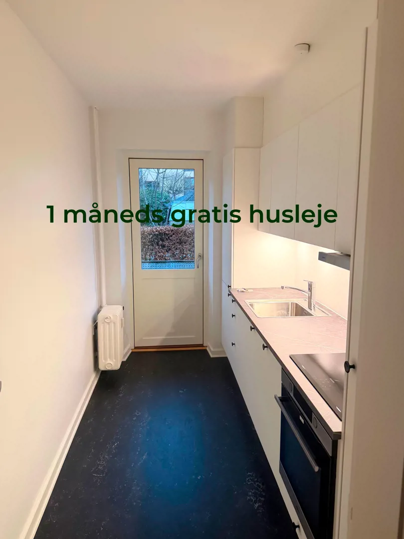 Kattesund 13, 1. th., Actus 