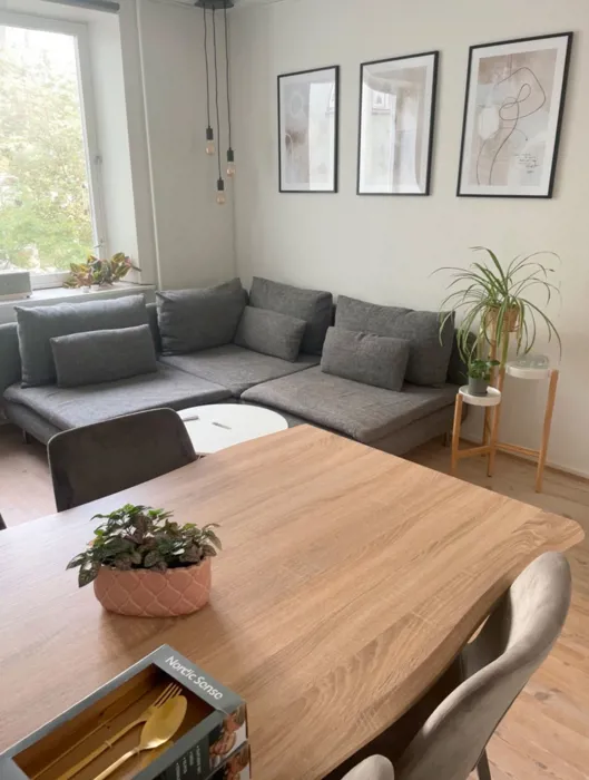 Hyggelig 2-værelses lejlighed i Aalborg centrum 2