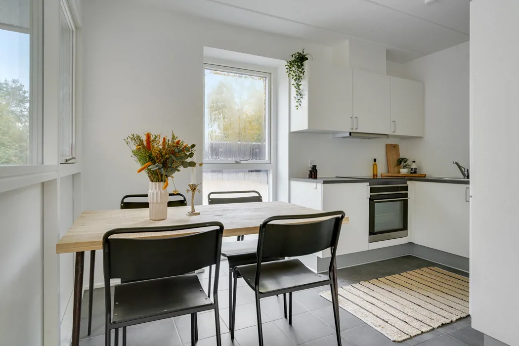 2-plans rækkehus med moderne Faciliteter og husdyr tilladt 1