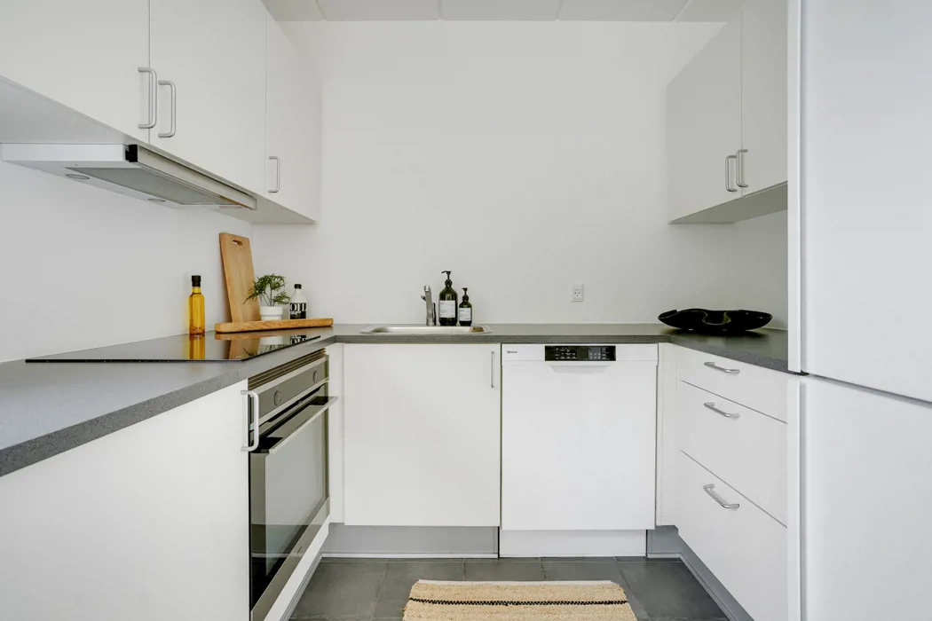 2-plans rækkehus med moderne Faciliteter og husdyr tilladt 5