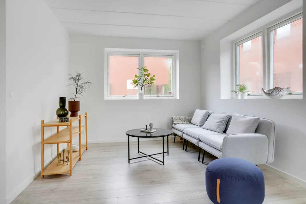 2-plans rækkehus med moderne Faciliteter og husdyr tilladt 3