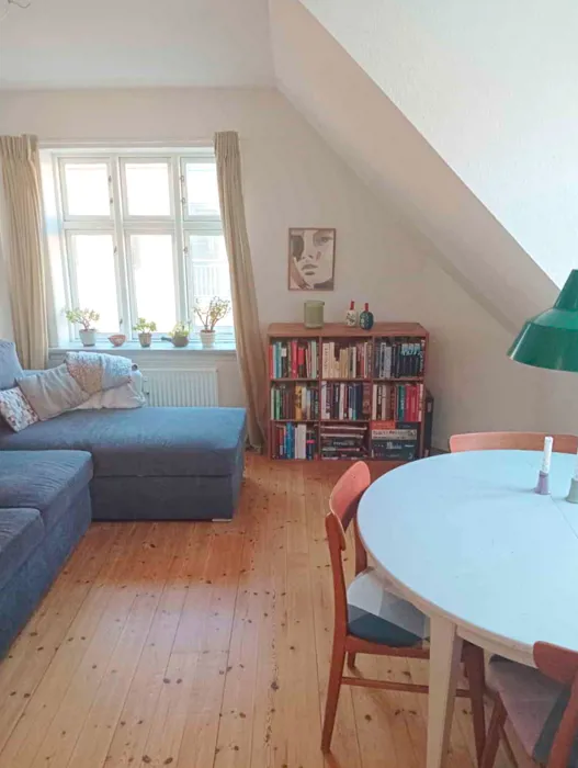 Stor 1-værelses lejlighed i Vestbyen  2