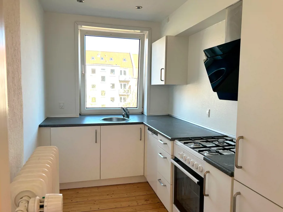 Lys og indbydende lejlighed i Aalborg 1