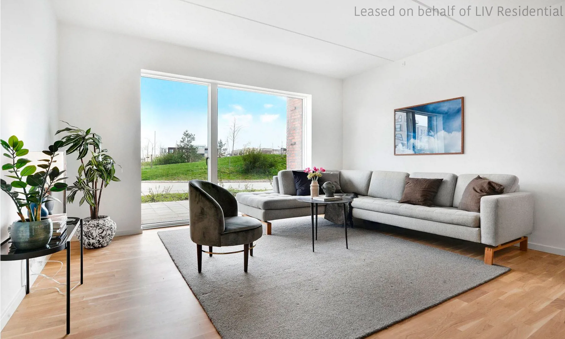 Havtornvej, 3-room apartment in Birken in Hedehusene billede 2