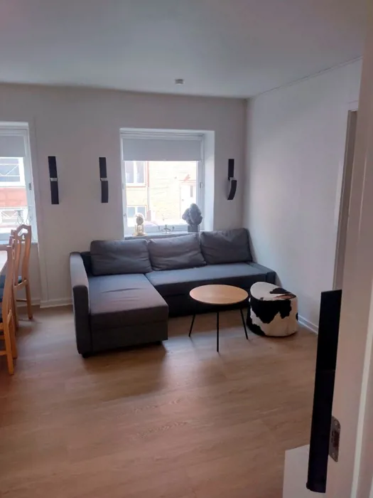 Høj stue lejligheden med altan i Øgadekvarteret 4