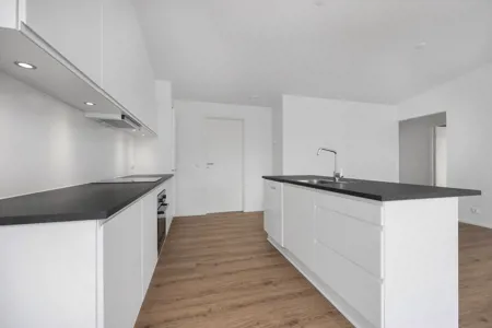 Nyopført 4-værelses rækkehus i 2 plan i Sofiendalsparken i Aalborg 1