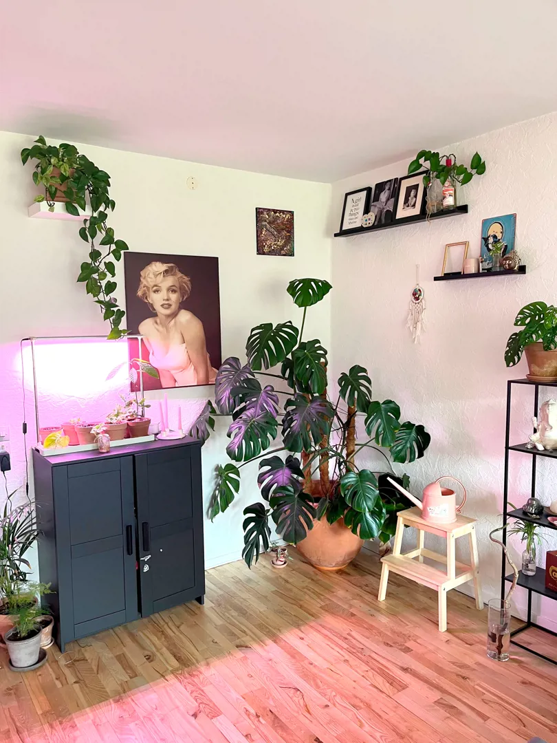 2-room apartment in Aalborg image 5