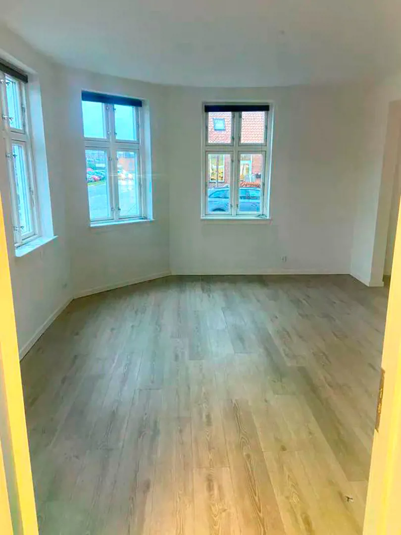 Lollandsgade, Lys og velindrettet lejlighed med moderne køkken centralt i Vejle billede 5