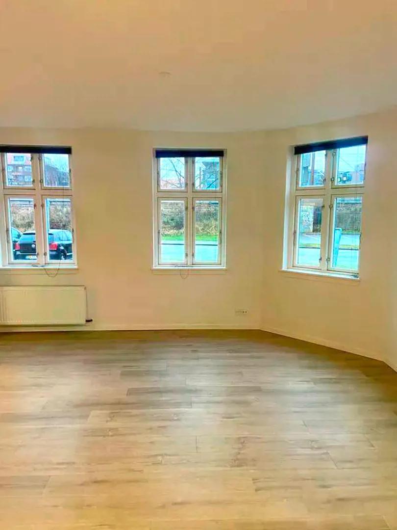Lollandsgade, Lys og velindrettet lejlighed med moderne køkken centralt i Vejle billede 2