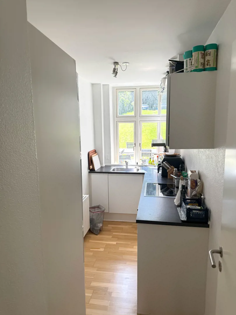 Fredericiagade, Lys og velindrettet lejlighed
