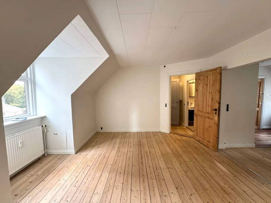 Charmerende lejlighed med hems centralt i Aalborg 3